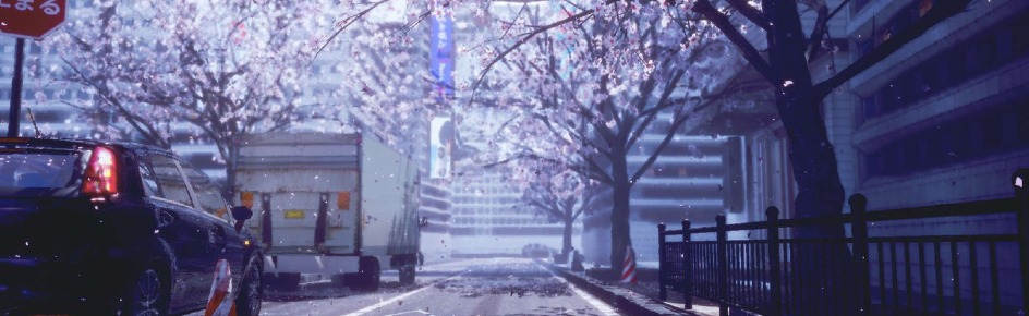 Sakura Central Discord Server Banner