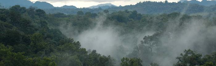 PixelMexico Discord Server Banner