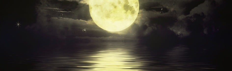 Moonlit Discord Server Banner