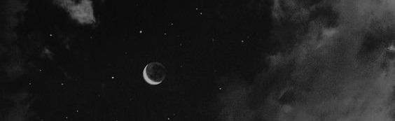 🍀 • Daily AVK • 🍀 Discord Server Banner