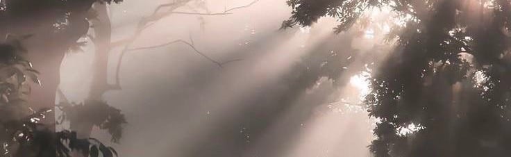 ✶⋆.˚glamsˎˊ˗₊⊹ server! Discord Server Banner