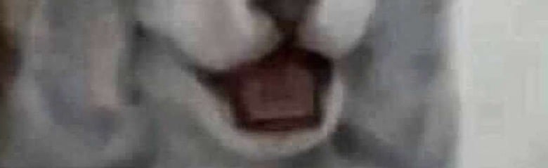 Ghostly Discord Server Banner