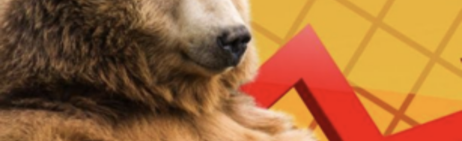 Technically Simple Trading Discord Server Banner