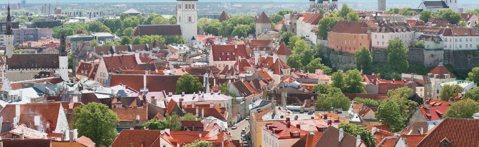 EstoniaPYA Discord Server Banner