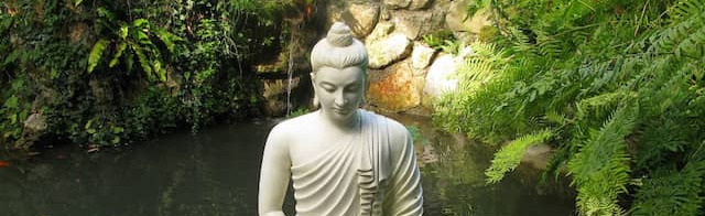 Buddhismus Deutschland Discord Server Banner