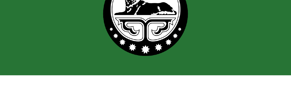 Chechen Pixel Planet Discord Server Banner