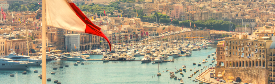 MaltaPixel Discord Server Banner