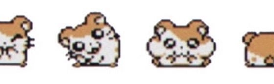 Hamster Haven Discord Server Banner