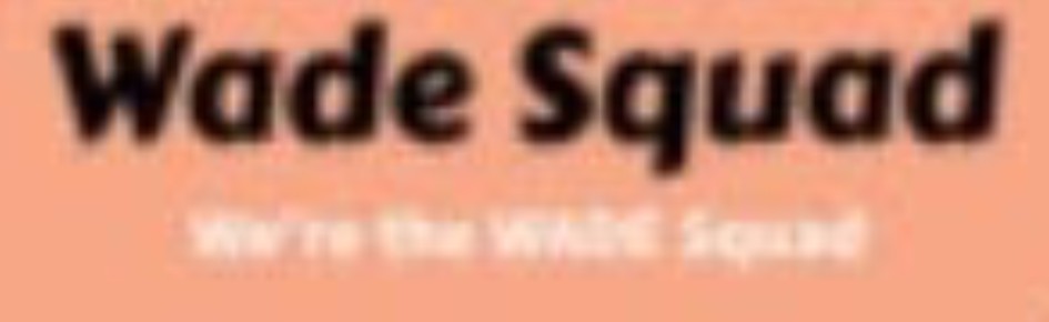 The WADE Squad Discord Server Banner