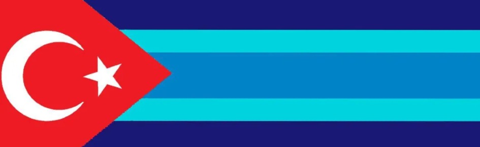 DANES TÜRK CUMHURİYETİ Discord Server Banner