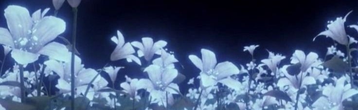 𐙚 ‧₊˚ ⋅Carson's Cafe !! Discord Server Banner