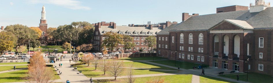 Brooklyn College Lounge Discord Server Banner