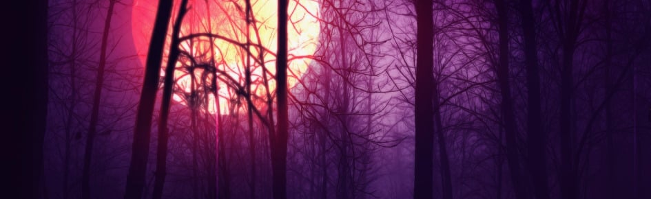 sleepy hideout ♥︎ Discord Server Banner