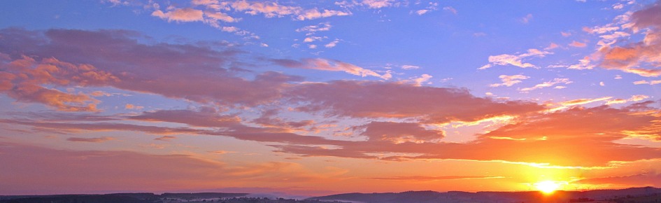 Immunity Discord Server Banner