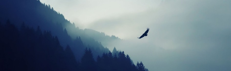 Magyar Gamer's Discord Szerver Discord Server Banner