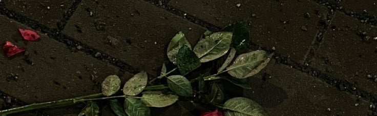 /Rose Discord Server Banner