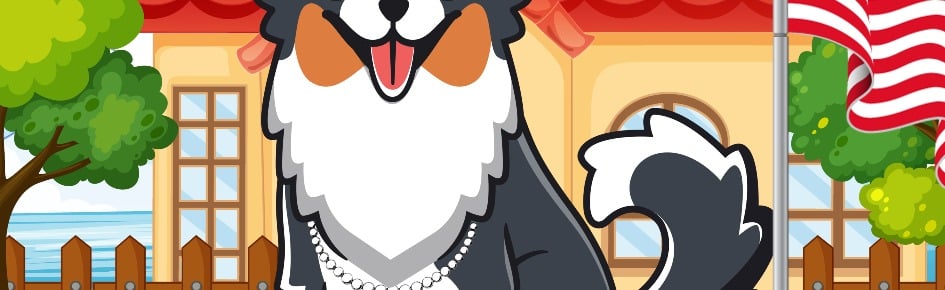 CrazyDogzCrew Discord Server Banner