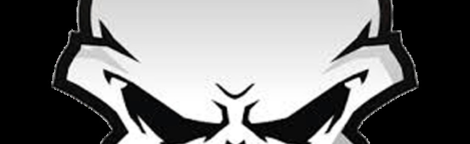 Skully Chilling Discord Server Banner