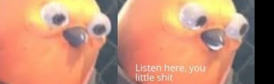 No petty shit :) Discord Server Banner