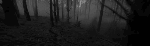 Vampire  TE Discord Server Banner