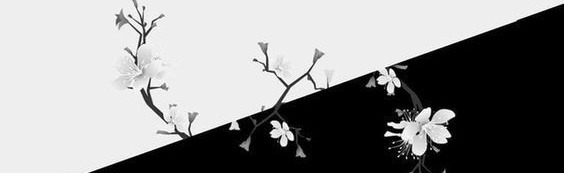 Anime no sekai Discord Server Banner