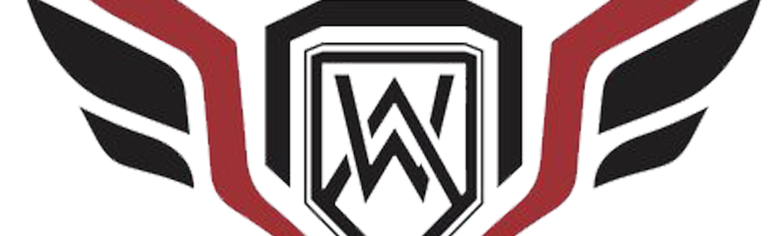 Frosty Fighters Discord Server Banner