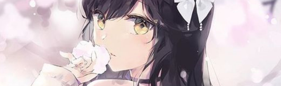 Rianolinon's Novel Collections Discord Server Banner