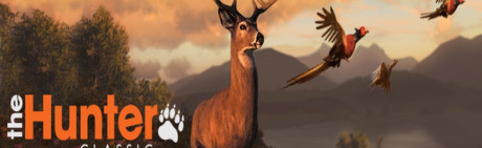 THE HUNTER CLASSIC LATINO Discord Server Banner