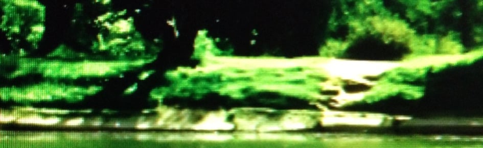 Clear-Bot Discord Server Banner