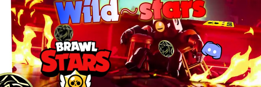 ⭐Wild~Stars⭐ Discord Server Banner