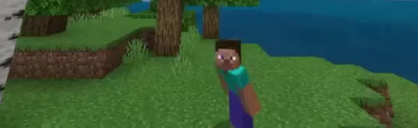 Minecraft Community server Discord Server Banner