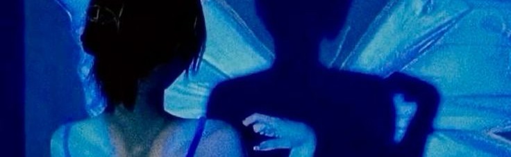 Pixie's Paradise Discord Server Banner