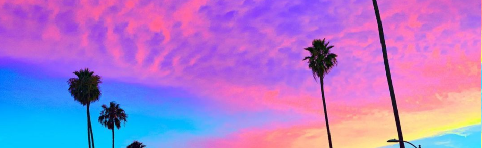 BLUFF 🍒🌴 Discord Server Banner