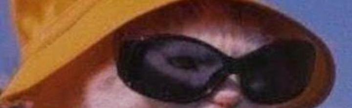 Welp Discord Server Banner