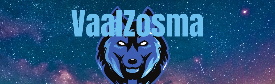 VaalZosma's server Discord Server Banner