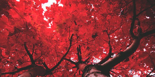 ??? ??? ????. Discord Server Banner