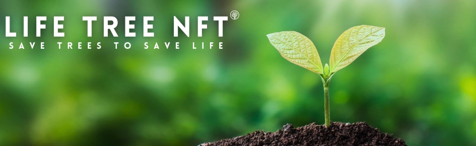 LIFETREE NFT Discord Server Banner