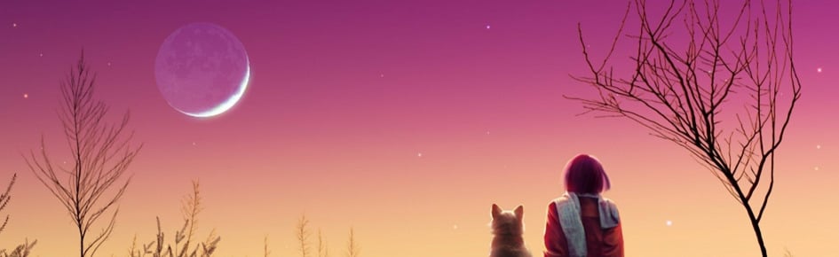 Anytimes Realis / Phantasia Discord Server Banner