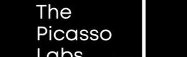 The Picasso Labs Discord Server Banner