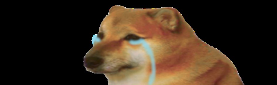 bored bois Discord Server Banner