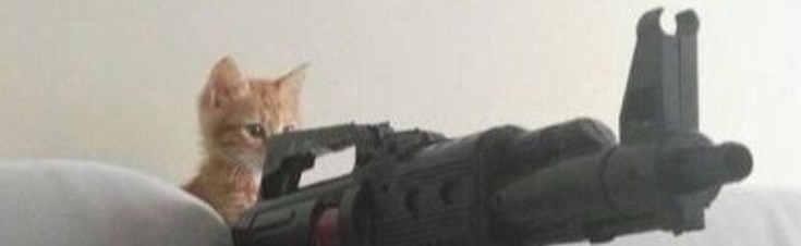 da cat hood Discord Server Banner