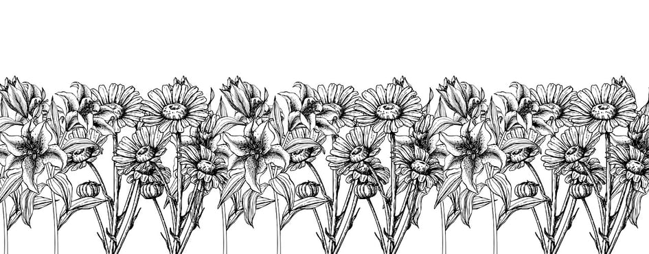 Daisy Bloom Discord Server Banner