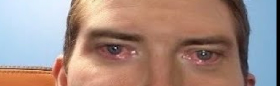 Lucid Lemonade Discord Server Banner