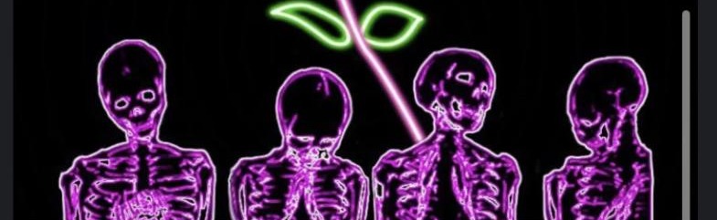 Hooligan's Cobweb Discord Server Banner