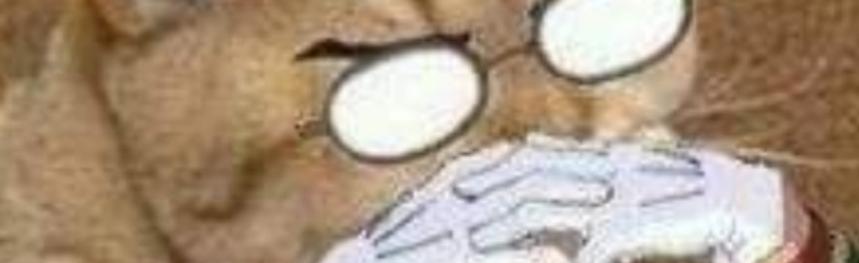 League of Legend community Discord Server Banner