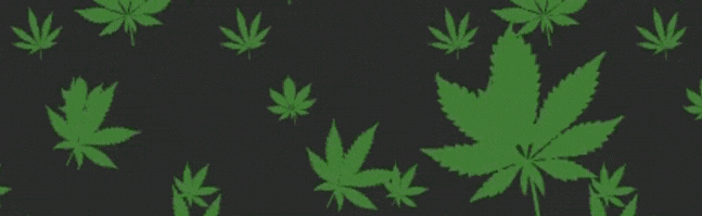 The Sesh Shed Discord Server Banner