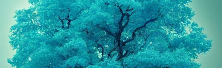 A NEW DIMENSION Discord Server Banner