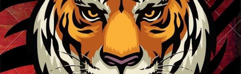 TigerMC Discord Server Banner