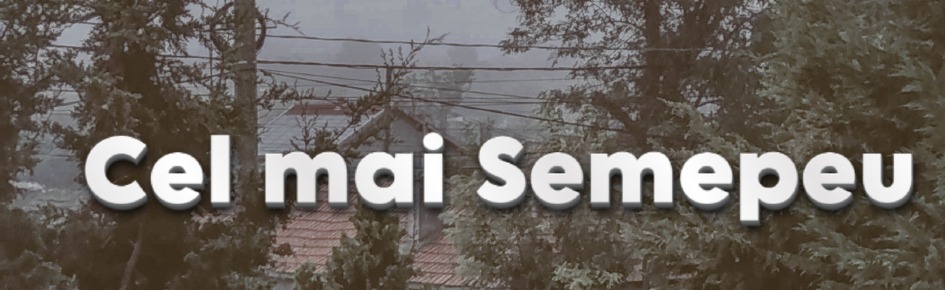 Ro Smp Discord Server Banner