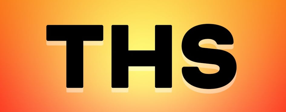 THE HUSTLERS SOCIETY Discord Server Banner